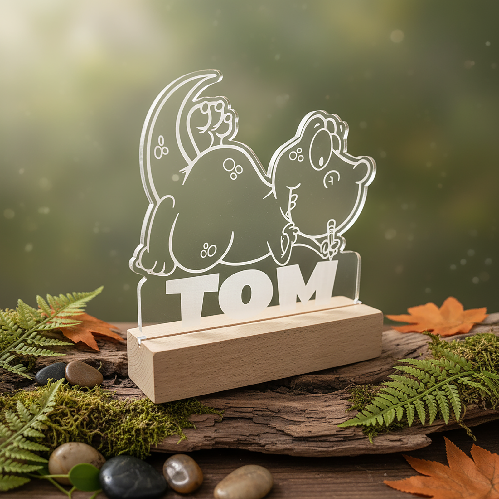 Kids Night Light – Wooden Base Engraved LED Lamp (Bear, Unicorn, T-Rex & Rainbow) - Image 9